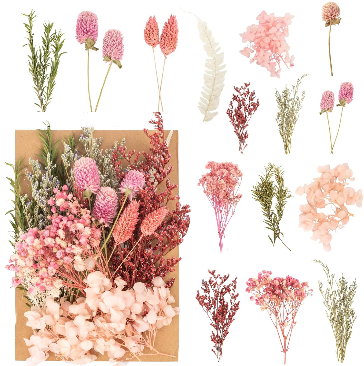 Dried Flowers, Pressed Flowers Dry Flowers Dried Flowers Crafts for DIY Arts Resin Scrapbooking Jewelry Making Floral Decorations