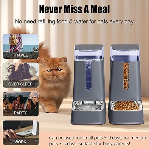 Miniatura 7 de Juego de alimentador automático para gatos y dispensador de agua para gatos con cuencos de acero inoxidable, comedero por gravedad para perros