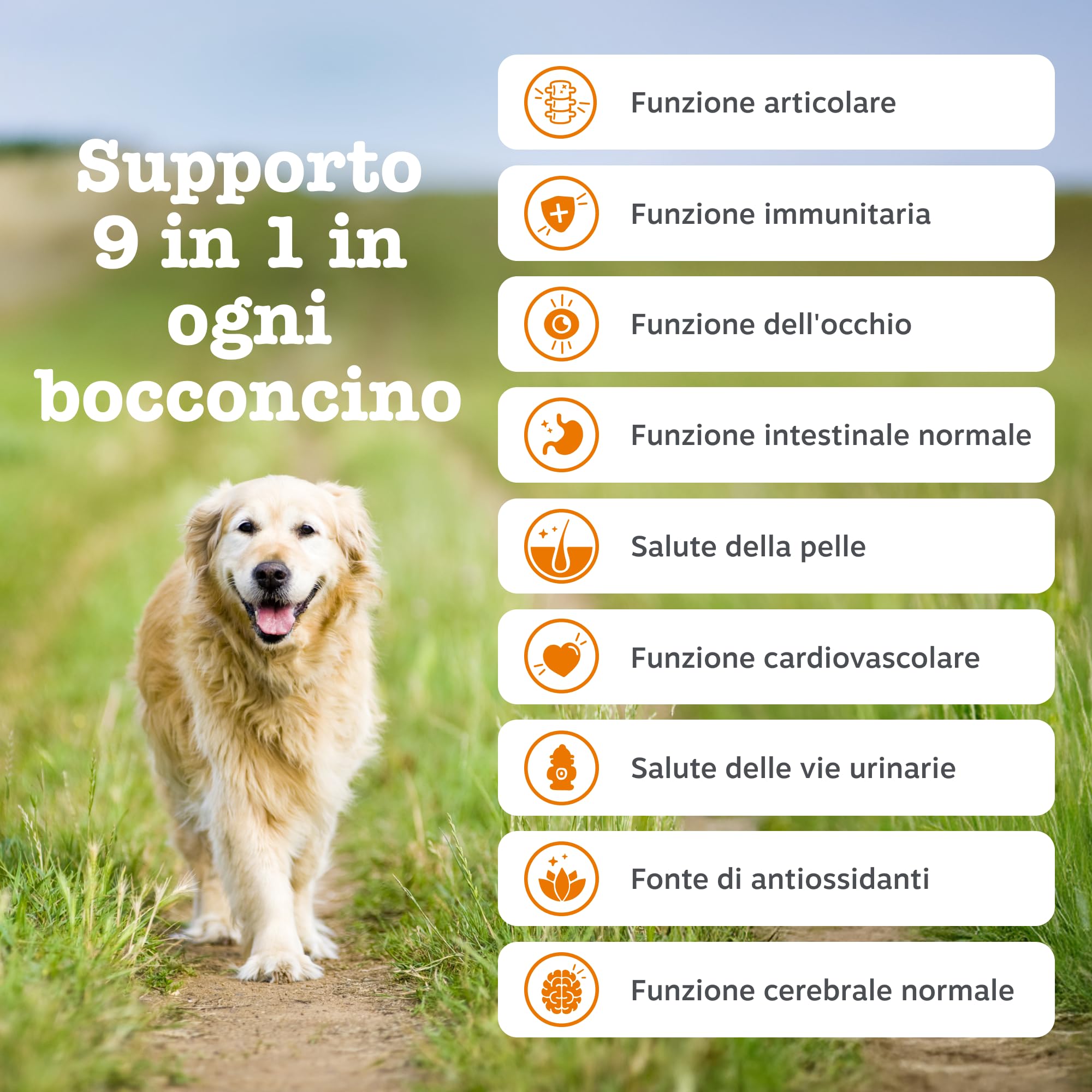 Zesty Paws 9-in-1 Senior Multivitamin – Supports Joints, Vision, Heart and Cognitive Function – Immune System and Urinary Tract Support – With Biotin and Vitamins A, B 3, B5, B6, B9, C – 90 Bocconcini