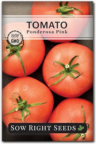 Sow Right Seeds - Semillas de tomate rosa Ponderosa para plantar - Paquete de reliquia sin OMG con instrucciones para plantar y cultivar un huerto