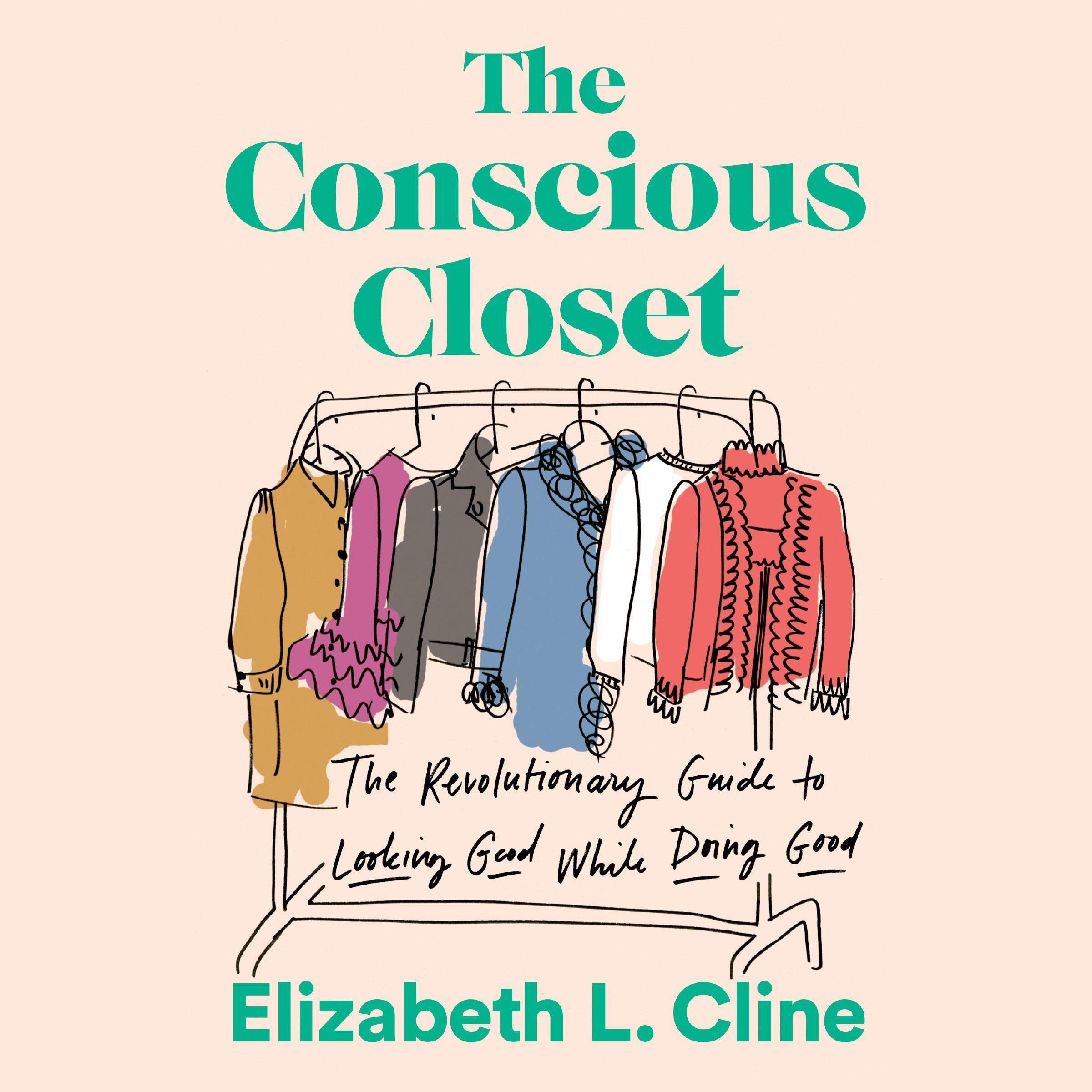Cover art for The Conscious Closet