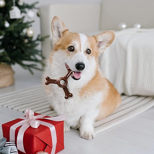 Miniatura 2 de SPOT by Ethical Products - Varilla trenzada de bambú, anillo, juguete triple masticable, juguetes para perros con sabor a nogal y bisonte, compras