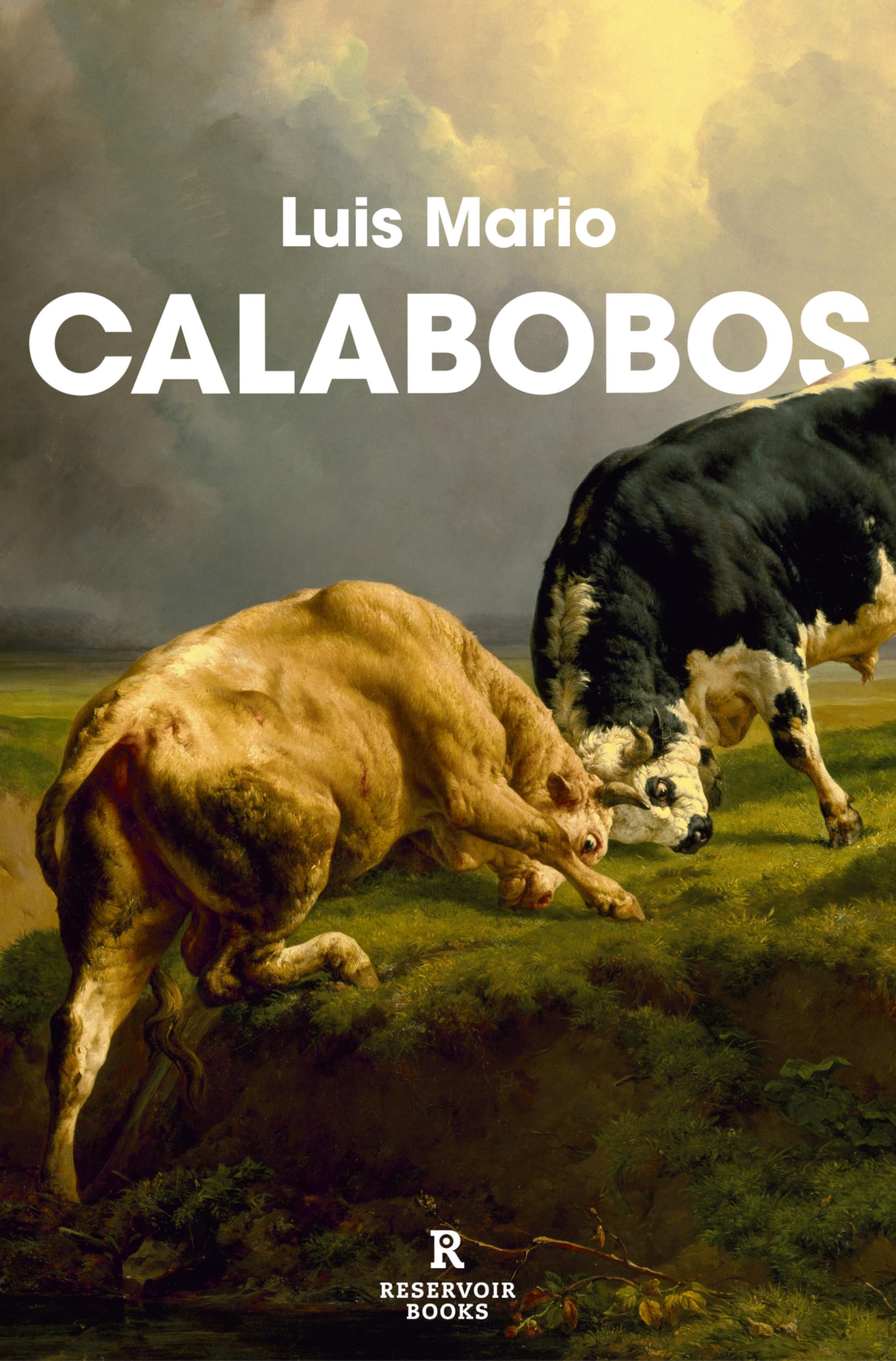Calabobos / Drizzle