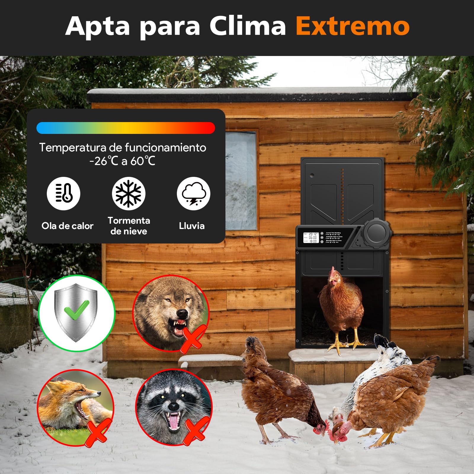 Batería automática grande para pollos, tapa de pollo de aluminio, con pantalla grande, temporizador, manual, protección inteligente para gallinas