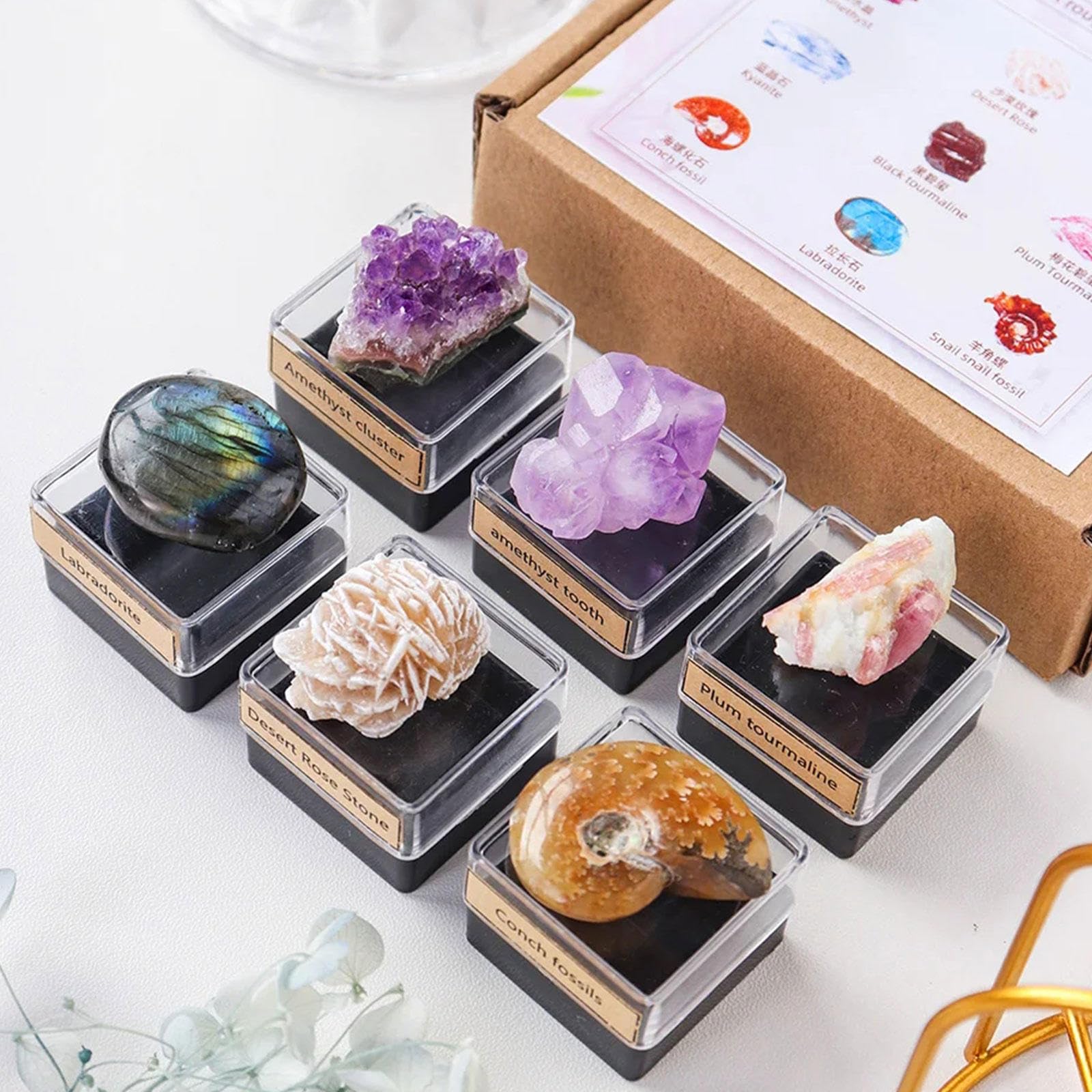 Cristalli Chakra e Pietre Curative in Confezione Regalo - Set di 9 Pezzi di Cristallo Naturale di Quarzo Grezzo per L'educazione su Rocce e Minerali, Pietre Preziose dei Chakra Curativi