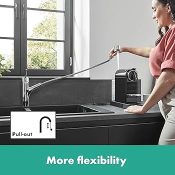 Amazon.co.jp: Hansgrohe(ハンスグローエ) タリス シングル