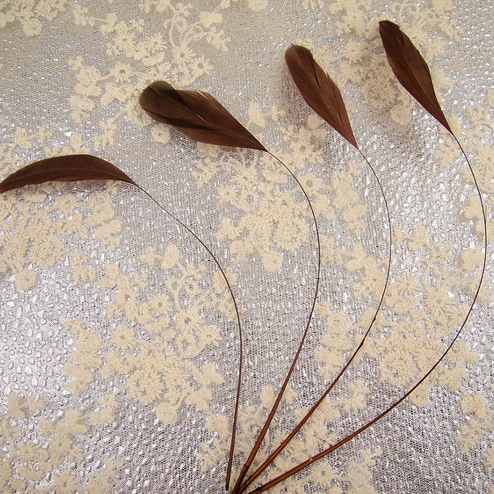 69 Colours Choices 5/7" Loose Stripped Coque Feathers for Millinery Hats Trimming Fascinators Craft Decorating Dancing Costume Making (Coffee #25, 10pcs) โ image 1