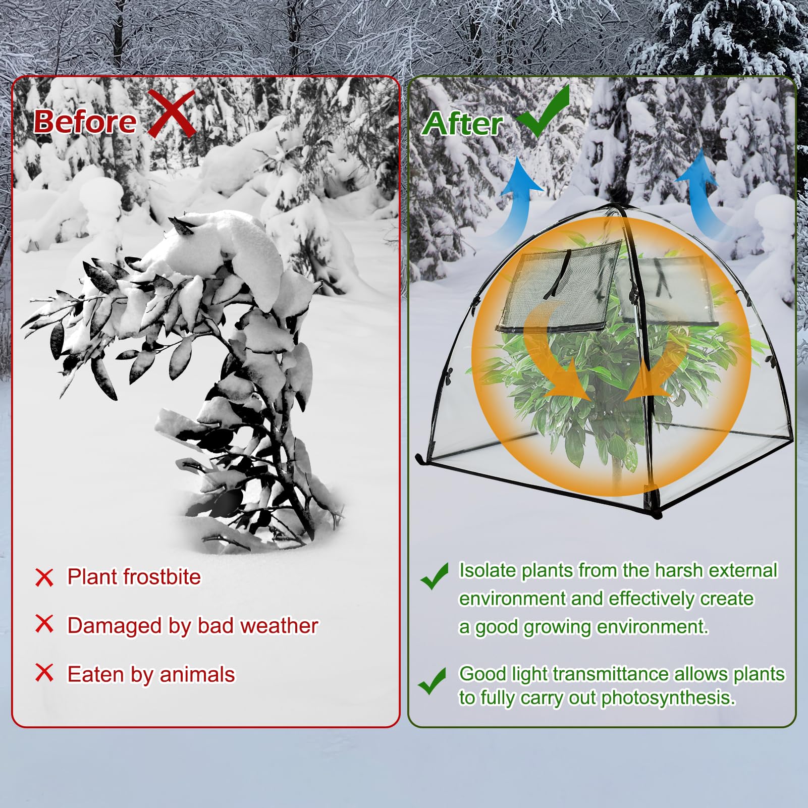 Housse De Protection Hivernale Pour Plantes - Transparente, En PE - 100x80 Cm - Anti-gel Et Pluie