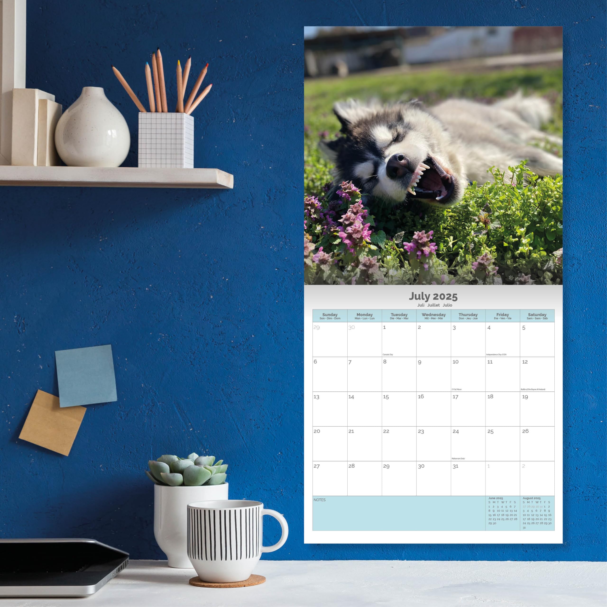 Baker and Bray Siberian Husky Calendar 2026, Large Square Wall Calendar With Organisational Stickers, 16 Month - Image 4