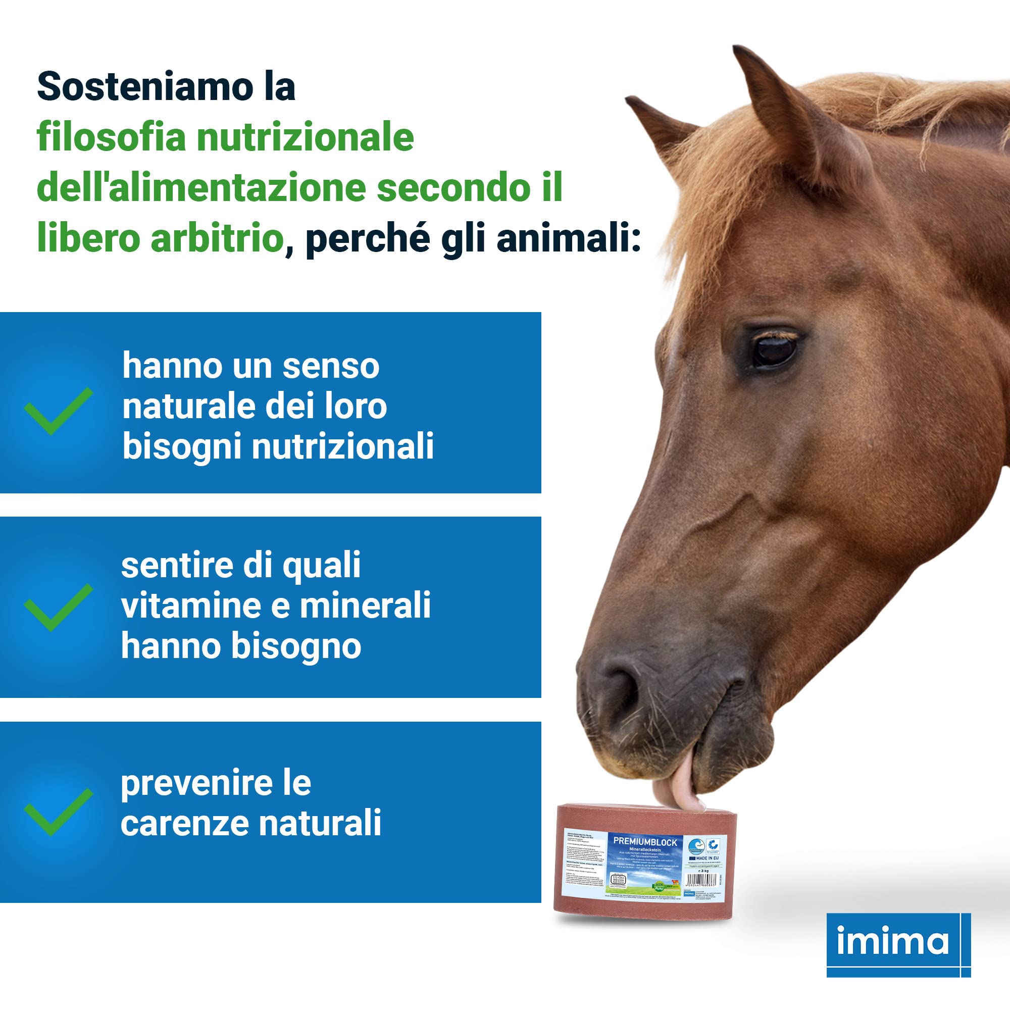 Mineral Lick Horse PREMIUMBLOCK Set di pietre saline 4 x 3 kg - Pietre saline per cavalli, pecore, capre, selvaggina e bovini - Pietra minerale per leccare il sale