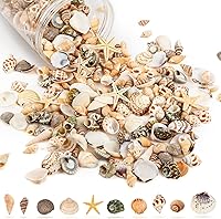WeDoSoy Tiny Sea Shells & 6 Starfish Mix - Natural Ocean Beach Decor, Vase Filler, DIY Crafts, Fish Tank Ornaments, Wedding Props (270g)