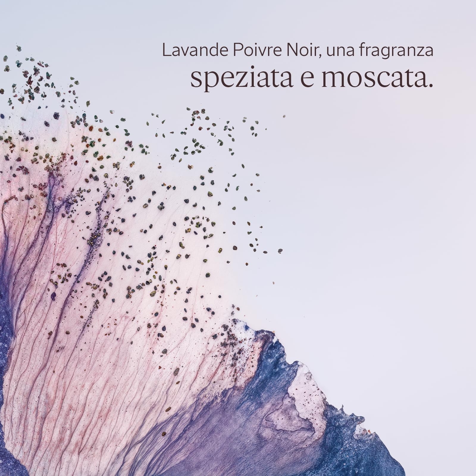 L'OCCITANE - Balsamo Dopo Barba Lavande Poivre Noir (precedentemente L'Occitan) - 75 ml - Idrata e riduce le irritazioni - Prodotto in Francia