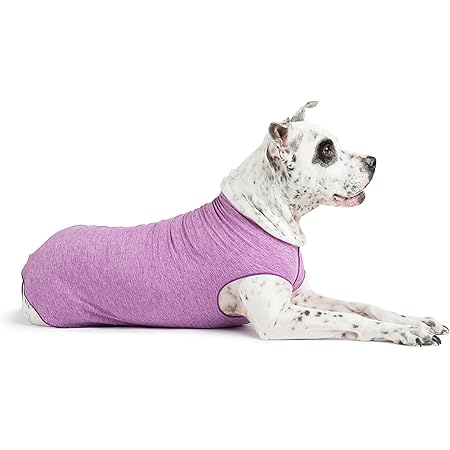 Sun shield dog tee Clearance