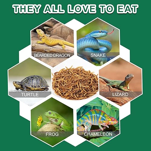 Miniatura 2 de capuca Gusanos de harina secos para reptiles, 100% natural, comida de mascotas con alto contenido de proteínas, alimento para tortugas dragón