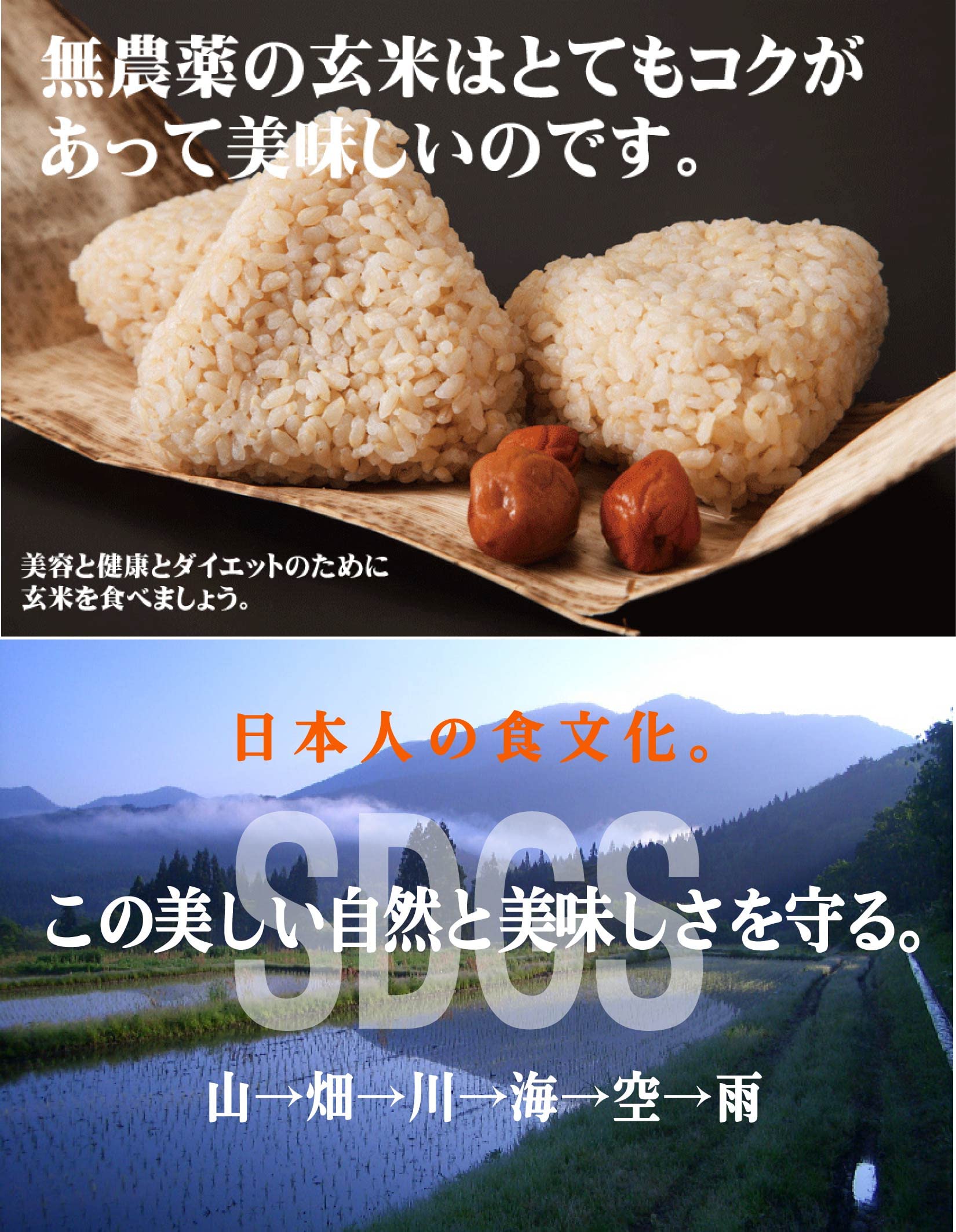 Amazon.co.jp: 2025年産新米 新潟岩船産コシヒカリ無農薬玄米5kg 