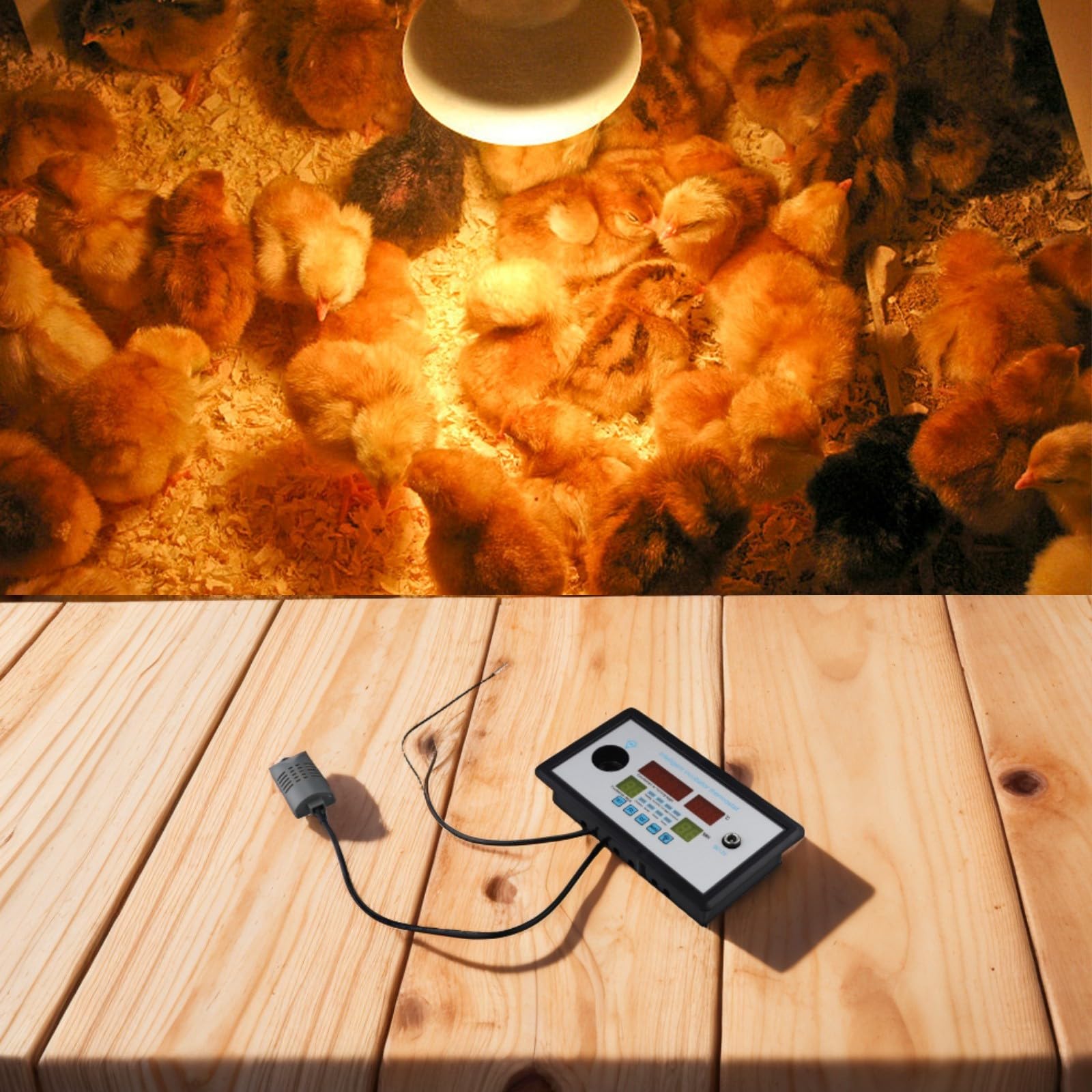 Inkubator-Thermostat, 12 V, intelligent, 110 ℃ ZFX-W9002, Huhn, Ente, Gänseeier, automatisches Drehen, Heimwasserbett-Temperaturregler