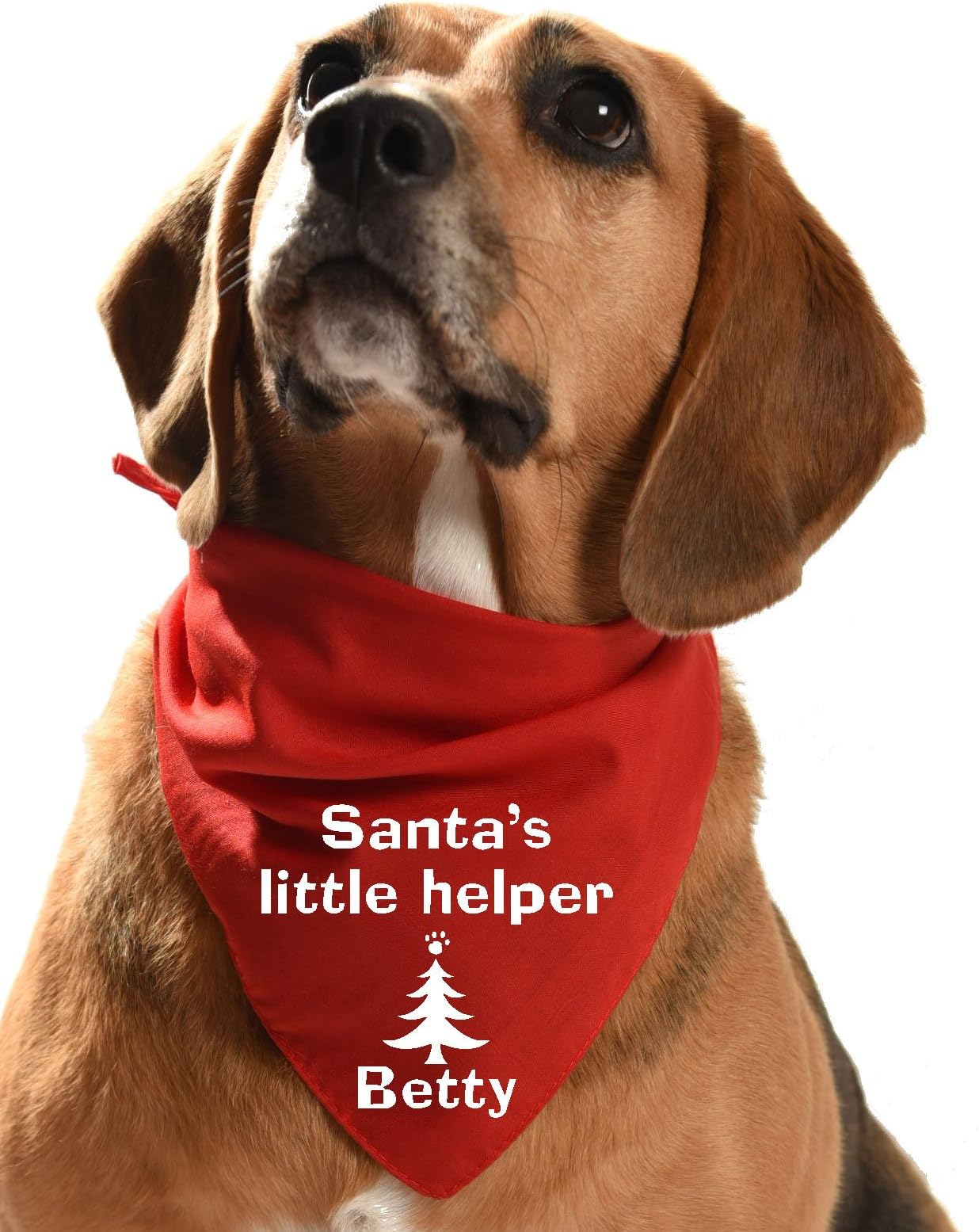 Santas Little Helper Customised Dog Bandana - with your dogs name - personalised (red, XXL)