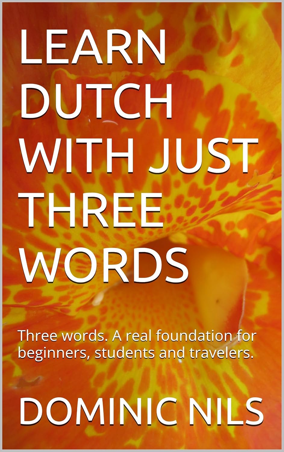 LEARN DUTCH WITH JUST THREE WORDS: Three words. A real foundation for beginners, students and travelers.
