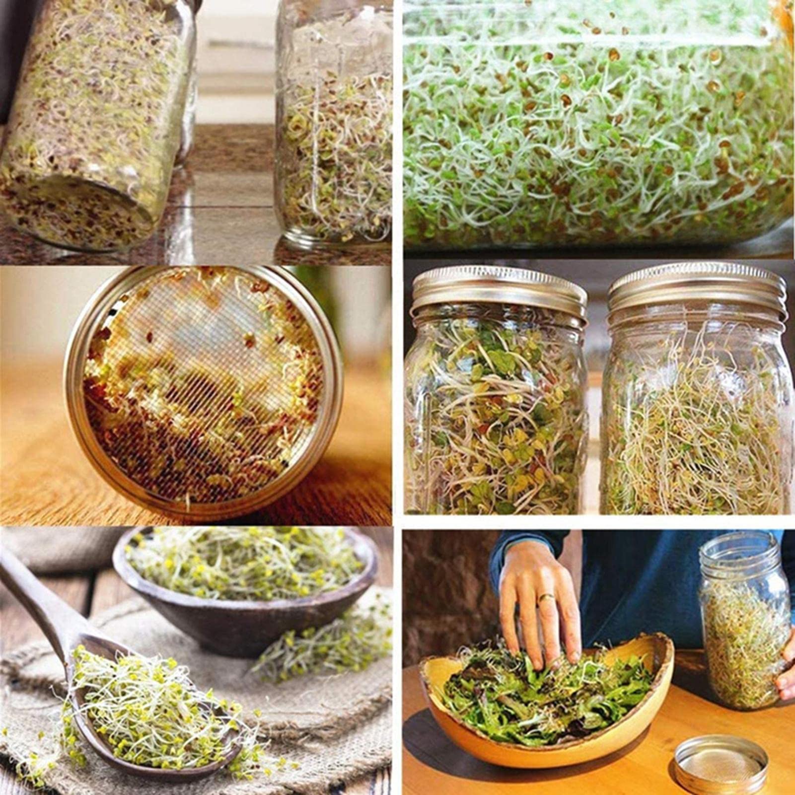 Lot de 2 bocaux en verre germé, pots de germination à large ouverture avec