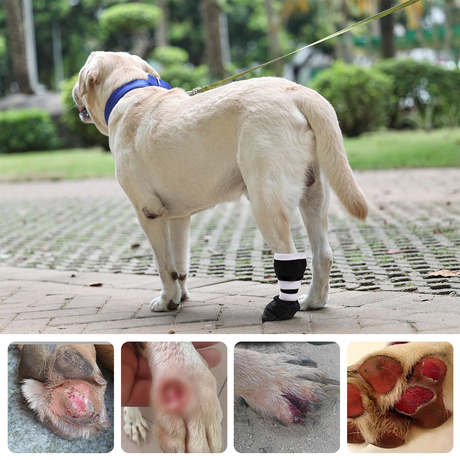 ETIAL Buty do regeneracji ran łapy psa, antypoślizgowe buty dla psa z samoprzylepnym paskiem, ochraniacz łapy psa do spacerów na świeżym powietrzu i ochrony psów przed lizaniem ran (czarne z białymi