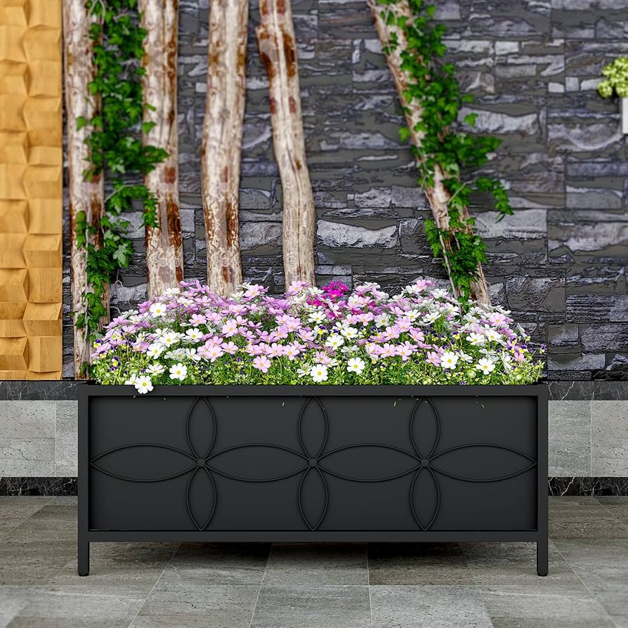 フラワー・ガーデニング Botanize SEN M size type B Bonsai Tree