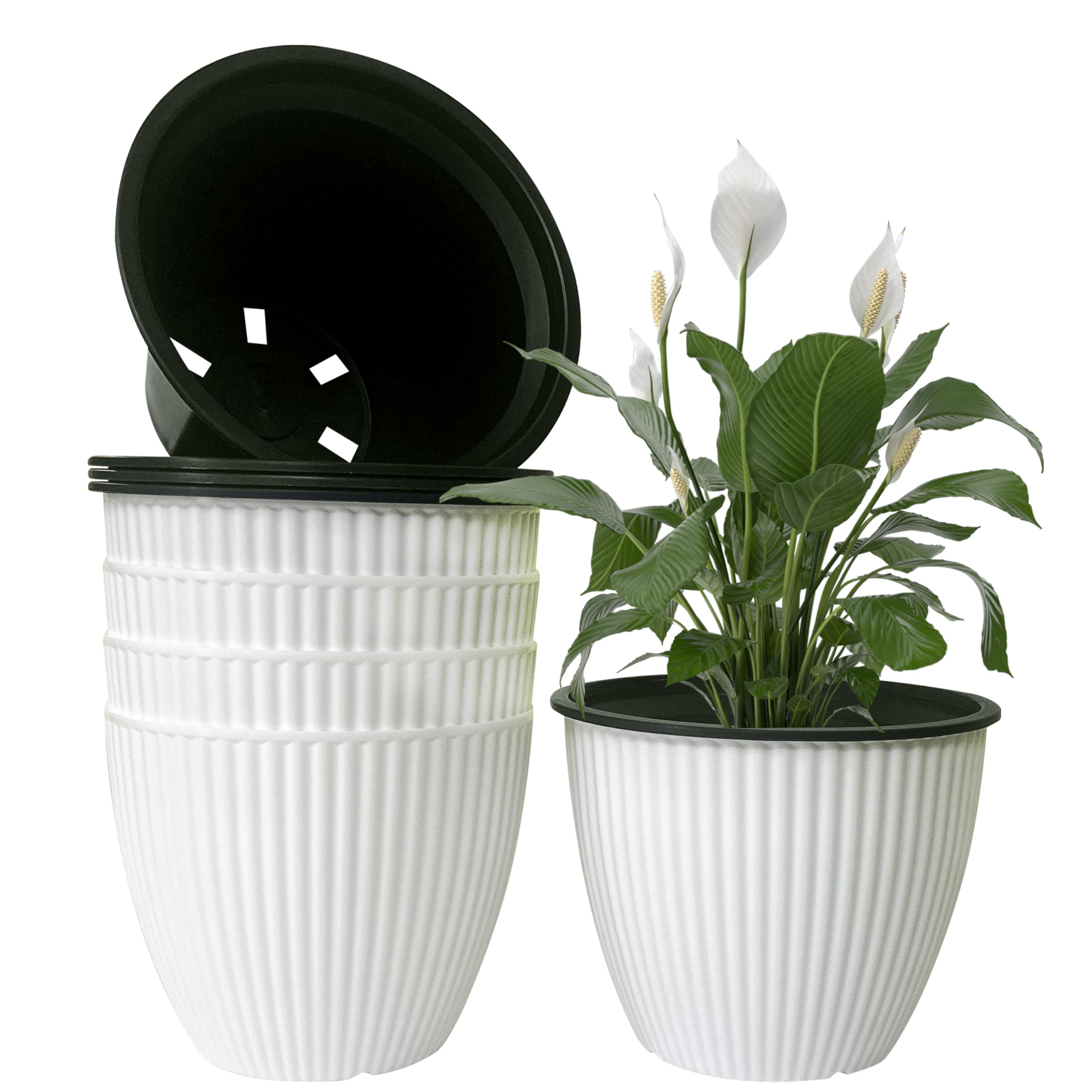 See full amazon price history chart for Agora 6.5 Inch Home Decor Self Watering Premium Virgin Plastic Pot for Table Top Garden Office Balcony Modern Planter Pot Outer Color Inner Black (10 Pots) Flower Gamala Pots Pack of 5 (White) Agora 6.5 Inch Home Decor Self Watering Premium Virgin Plastic Pot for Table Top Garden Office Balcony Modern Planter Pot Outer Color Inner Black (10 Pots) Flower Gamala Pots Pack of 5 (White) (B0DD8KJ65D) Amazon Price History, Amazon Price Tracker