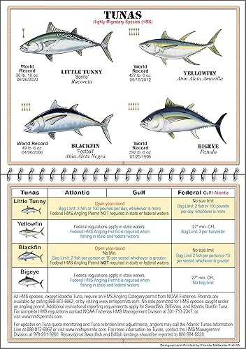 Miniatura 4 de Libro de entificación con reglas, regulaciones, límites y tamaños de la FWC con más de 90 fotografías marinas y de tiburones, guía de pesca