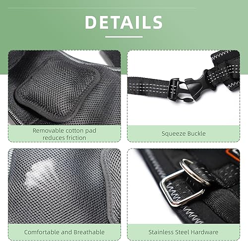 Miniatura 4 de LISPOO - Soporte de cadera para perro para displasia de cadera, dolor en las articulaciones de cadera, soporte de cadera para perros con dolor de