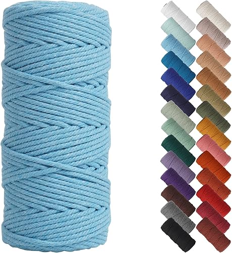 Miniatura 25 de NOANTA - Cuerda de macramé color marrón amarillento, 1/8 pulgadas (3 mm) x 109 yardas (100 metros), cuerda de algodón colorido para colgar