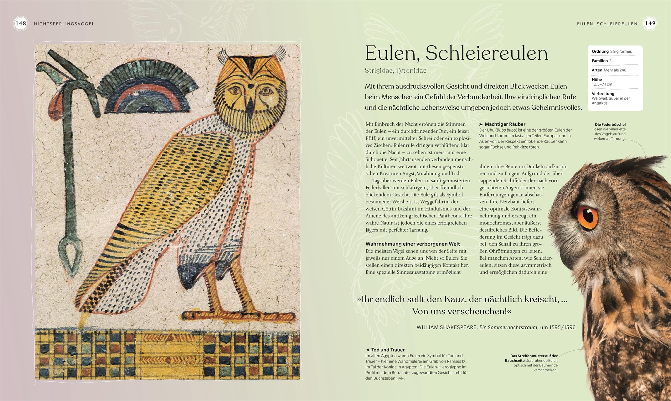 Vögel - Eine Natur- und Kulturgeschichte: Über 100 Vögel aus aller Welt in ausführlichen Porträts. Spannende Fakten, brillante Fotos und Illustrationen (DK Faszinierende Welt)