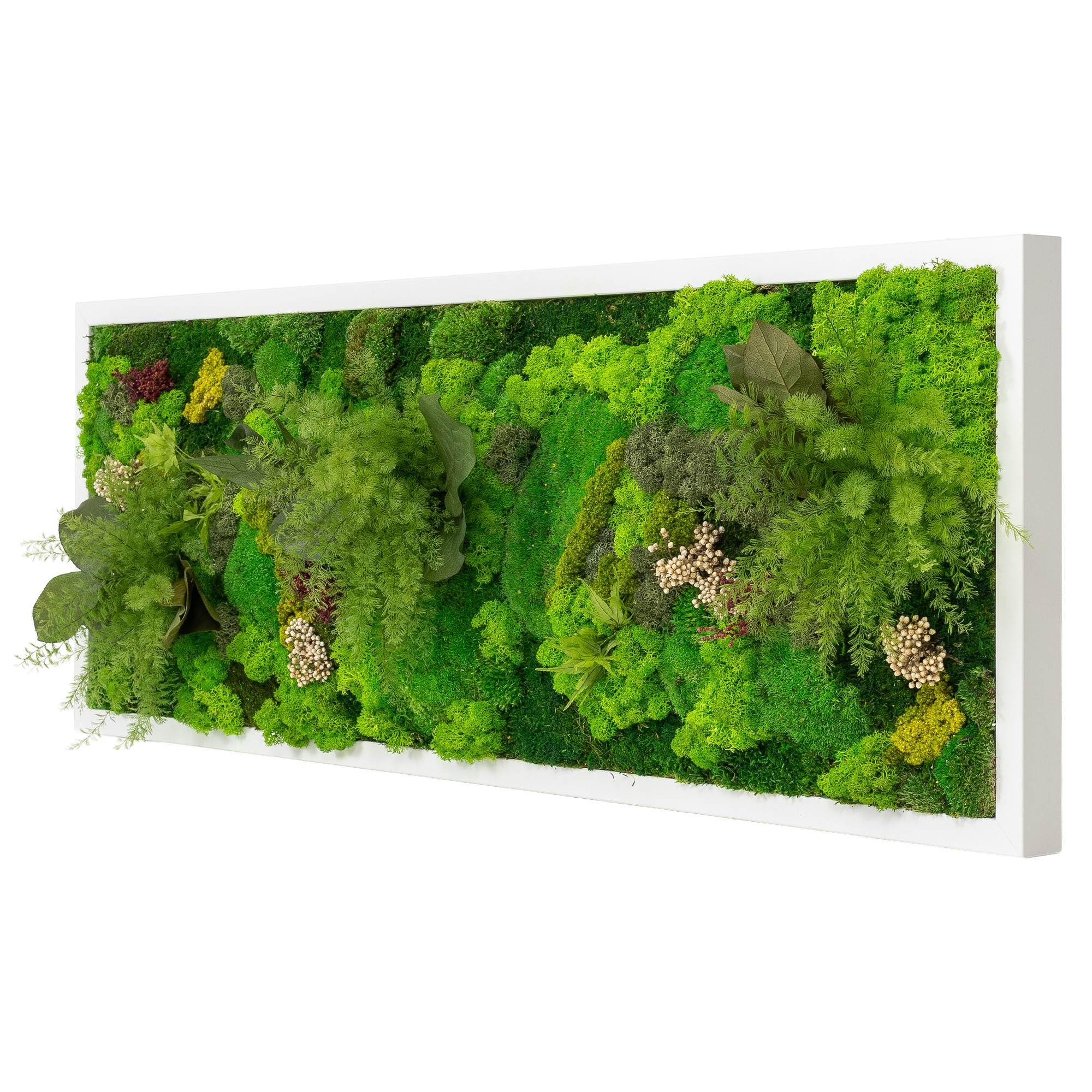 Moosbild in versch. Größen (Dschungel Design, Holzrahmen: weiß, 100 x 35 cm)