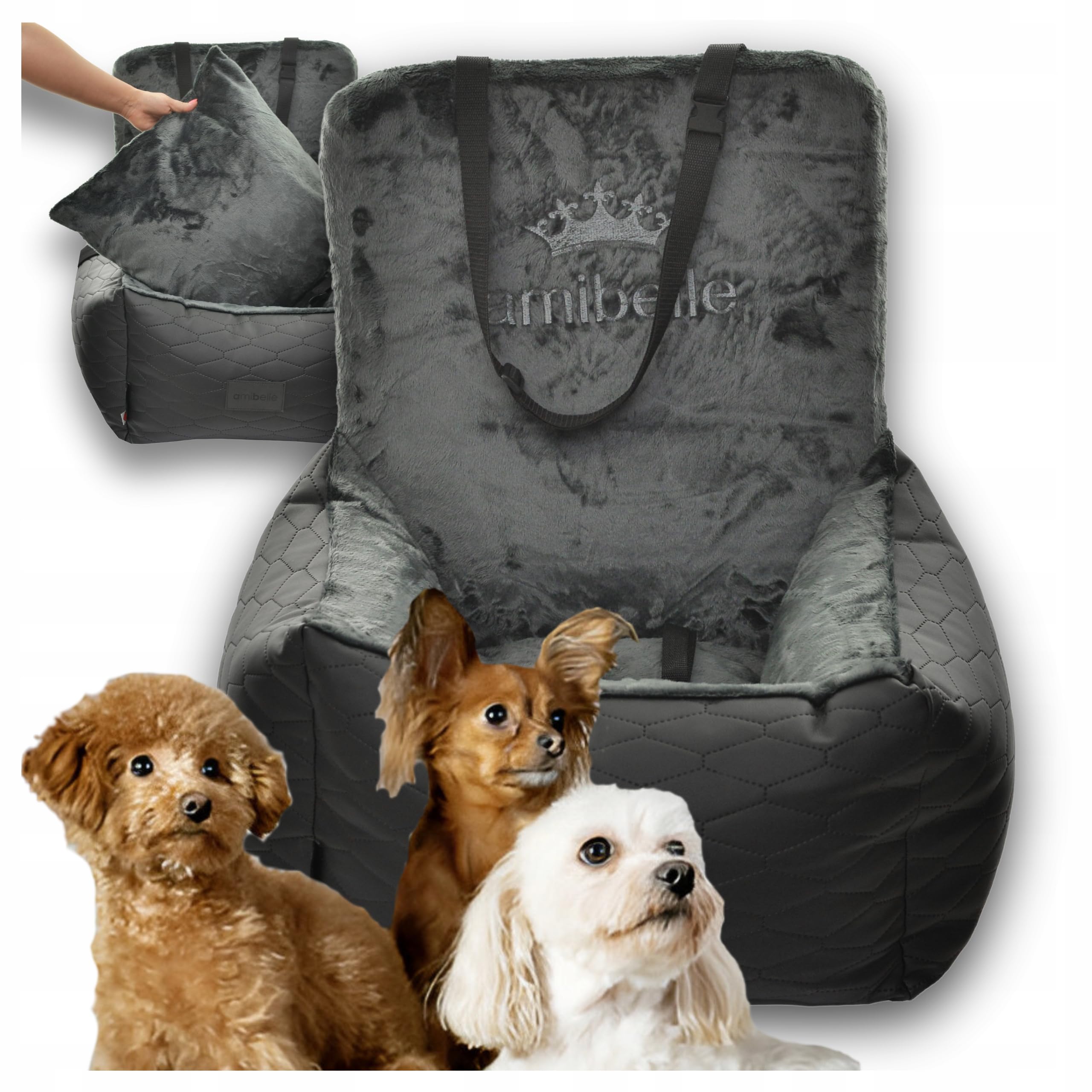 Hunde Autositz 50x50 cm Schwarz - 2in1 Sitz für Hund und Katze
