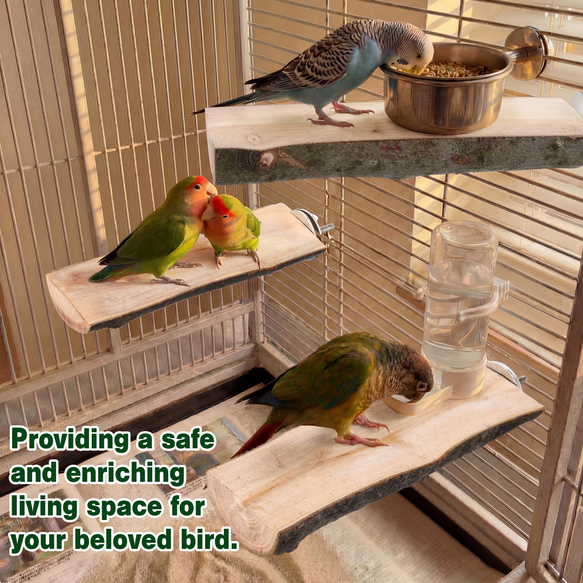 Saillong 3 Pack Natural Wood Bird Perch, Parrot Platforms Stand, Comfortable Resting Perch for Eating, Drinking & Foot Health, Chewable Standing Cage Accessories, for Parakeet, Cockatiels, Lovebirds - image 8