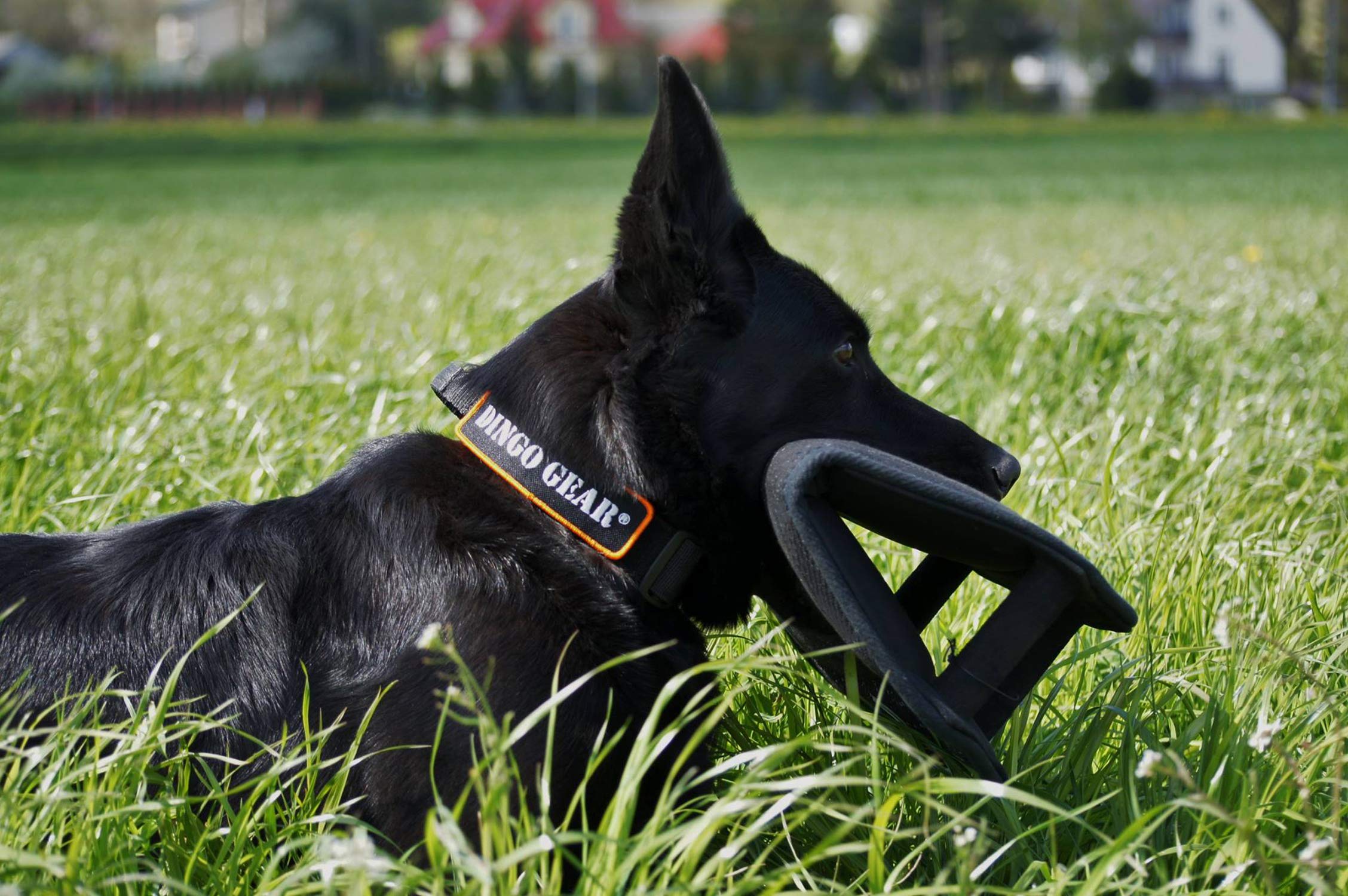 Dingo Gear Coin de Morsure Gizmo pour, IGP, Sports Canins, Travail au Mordant, Entraînement des Forces Spéciales, Manche Universel avec 3 Poignées, Fait Main, Matériau Nylcot Noir (S00518)
