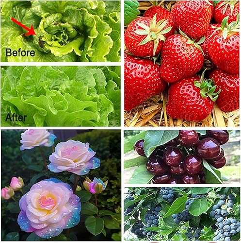 Miniatura 6 de Red de jardín, paquete de 2 mallas ultrafinas de 8 x 24 pies, protección contra plagas para pájaros, mosquiteros, plantas, cubierta para verduras,