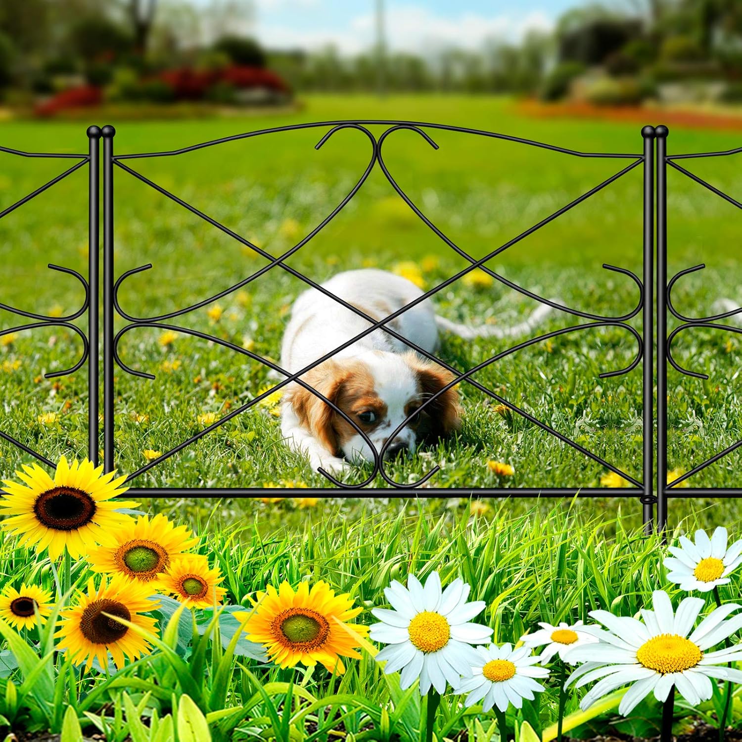 AMAGABELI GARDEN & HOME 5 Panels 32in(H)×10ft(L) Decorative Garden Fences and Borders for Dogs Rustproof Metal No Dig Fence Panels Garden Edging Border for Animal Barrier Flower Beds Yard Patio