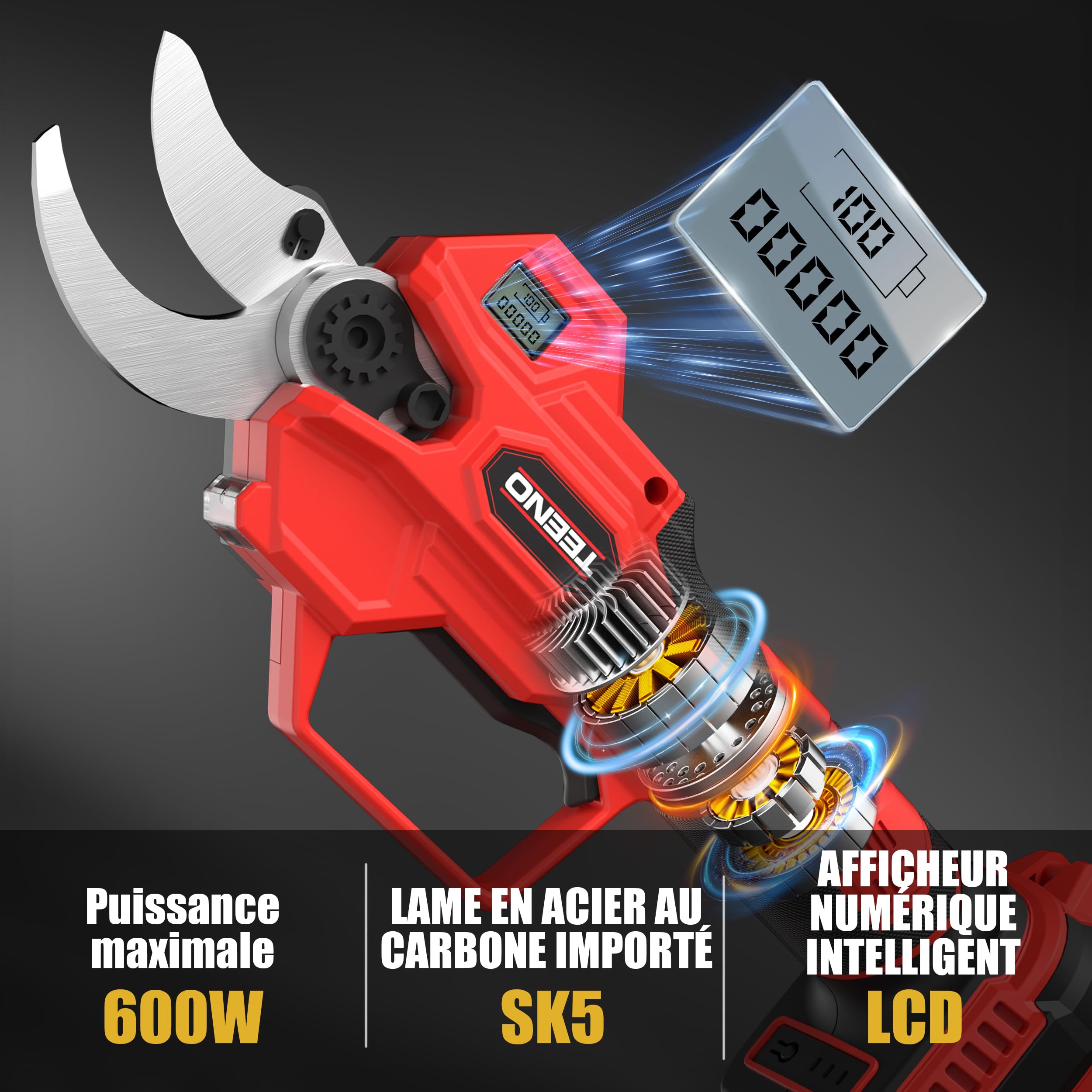 TEENO 2-en-1 Sécateur électrique avec perche télescopique, 40MM Secateur electrique sans fil 4000mAh avec Écran, 2 Batteries de 2.0Ah, our le jardinage, les arbres fruitiers