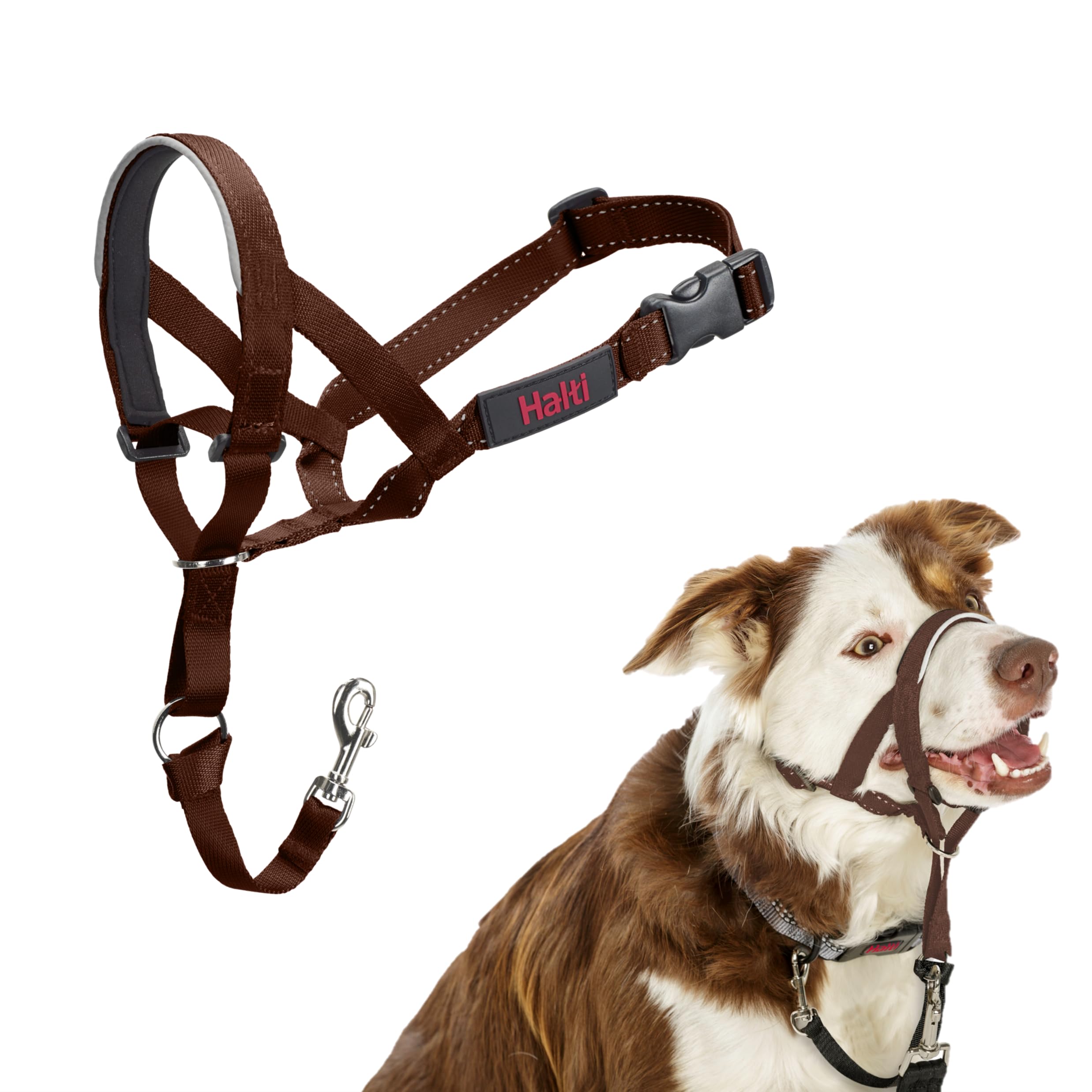 HALTI Kopfgeschirr - Verhindert, dass Ihr Hund an der Leine zieht, Einfache Anpassung, Leicht, mit gepolstertem Nasenriemen, Anti-Zug-Halsband für mittelgroße Hunde (Größe 2, Walnussbraun)
