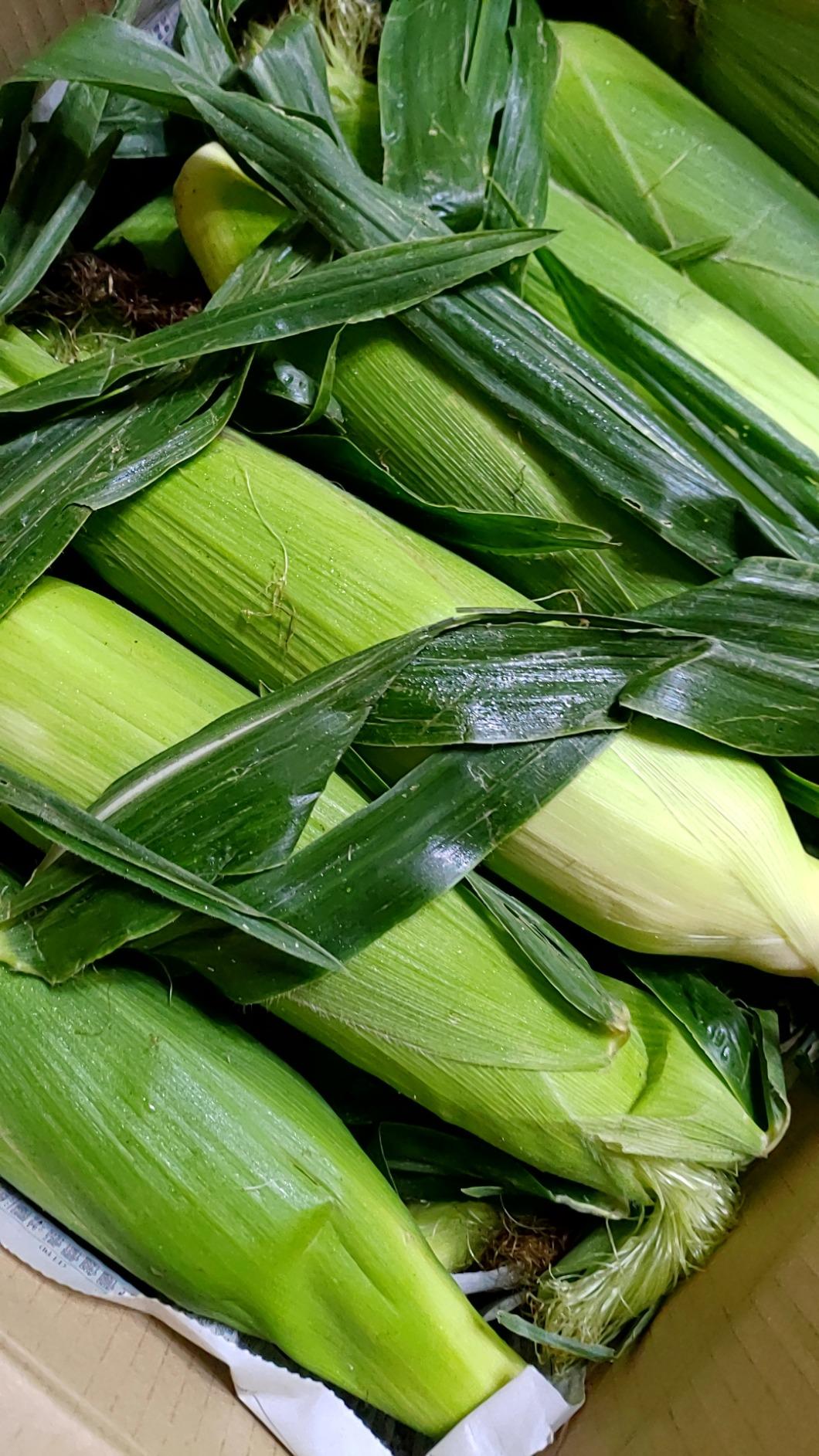 お客様イメージ