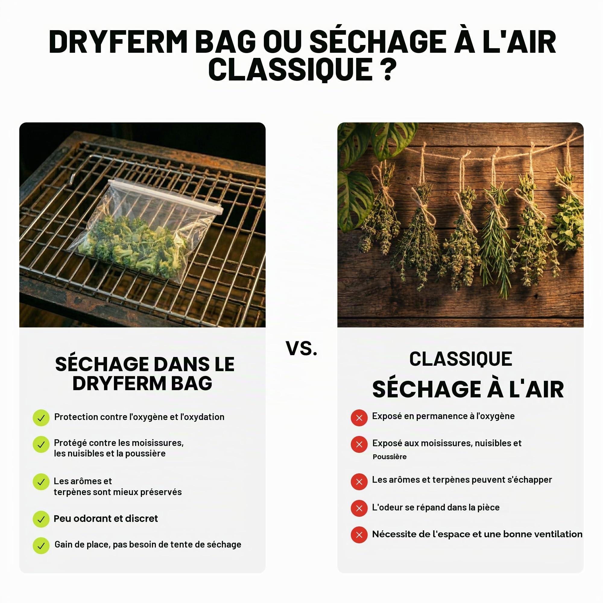 Dschinni DryFerm Curing Bags Lot de 3 sacs de séchage (30 x 50 cm) avec film Weedmaster – 55 % RLF pour herbes et fleurs, protection contre l'oxydation | Sacs étanches de qualité supérieure avec film de protection UV