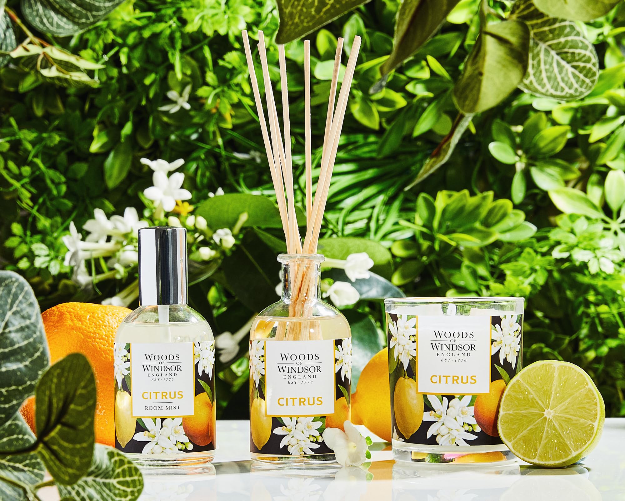 Amazon.co.uk: Woods of Windsor: Home Fragrance