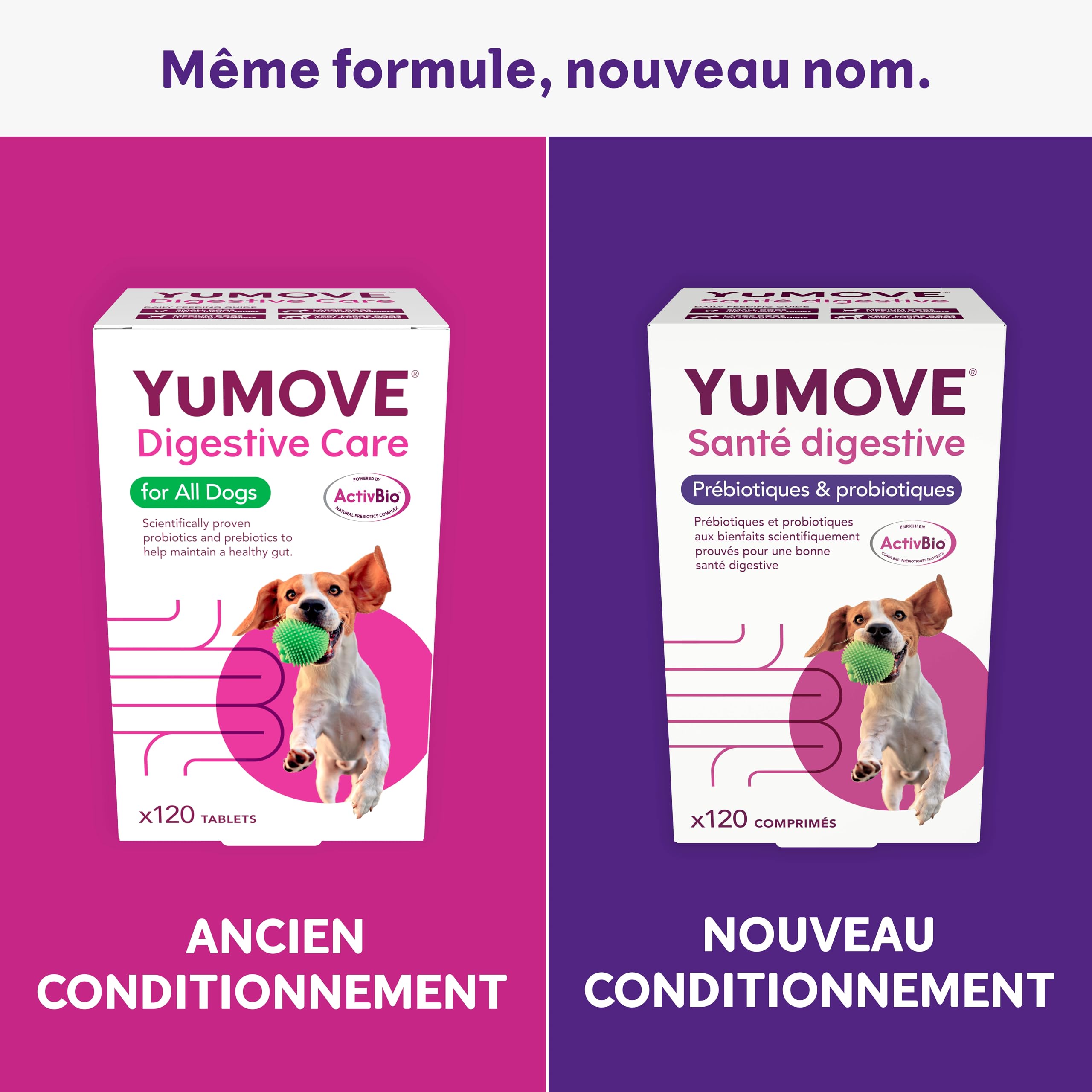 YuMOVE Pré et Probiotique Chien 120 Comprimés - 200M+ Bactéries Probiotiques E. faecium & Complexe ActivBio avec Bêta‑Glucanes - Probiotiques Flore Intestinale Chien pour Une Meilleure Digestion