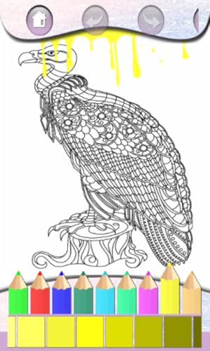 Mandala Coloring Book for Me and Friend