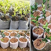 Vista 7 de Belit Bolsas grandes no tejidas para vivero, 25 bolsas de cultivo para plantas, macetas para árboles, verduras, flores, cultivo de plantas