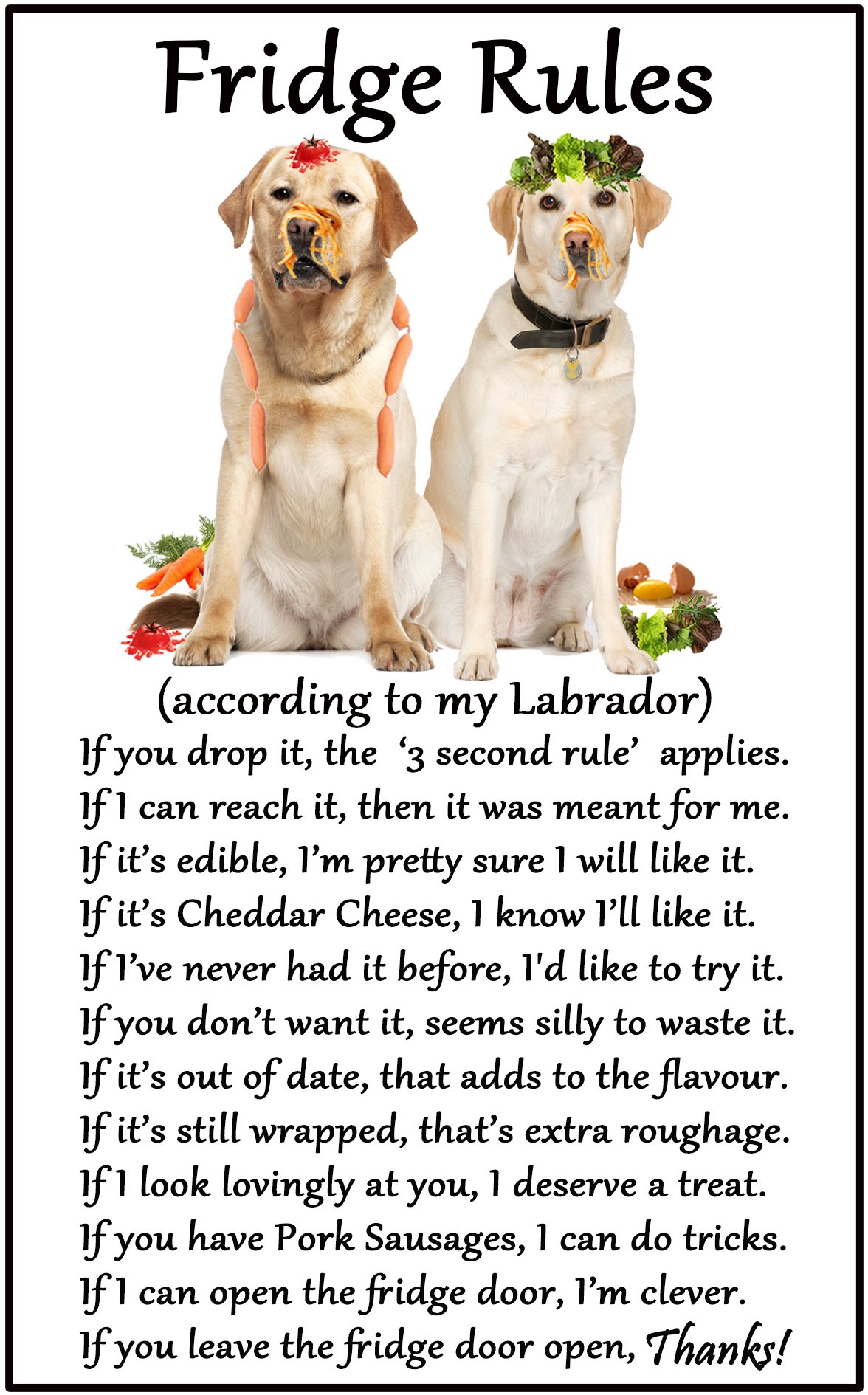 Fridge Magnets Yellow Labrador /Lab Gift - Fridge Rules - Large Flexible Fun Fridge Magnet- Size 16Cms X 10 Cms (Approx. 6" X4")
