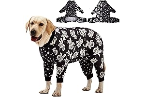 Pitty Pajamas: Dog Clothes up in Space!