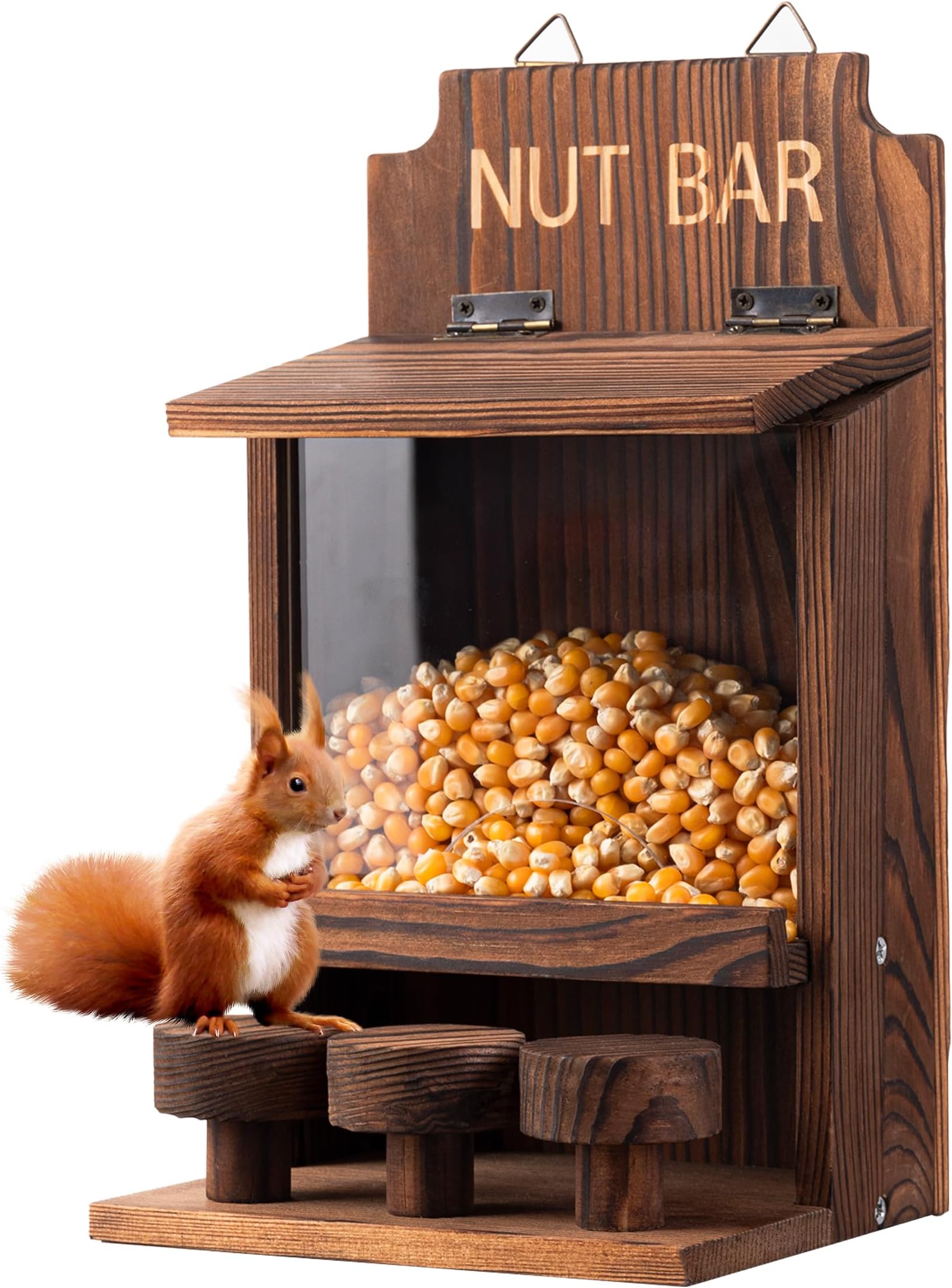 Squirrel Feeders for Outside Funny, Carbonized Wooden