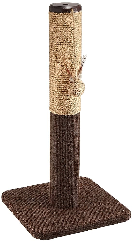 Amazon | キャティーマン (CattyMan) モダンルーム 爪みがき