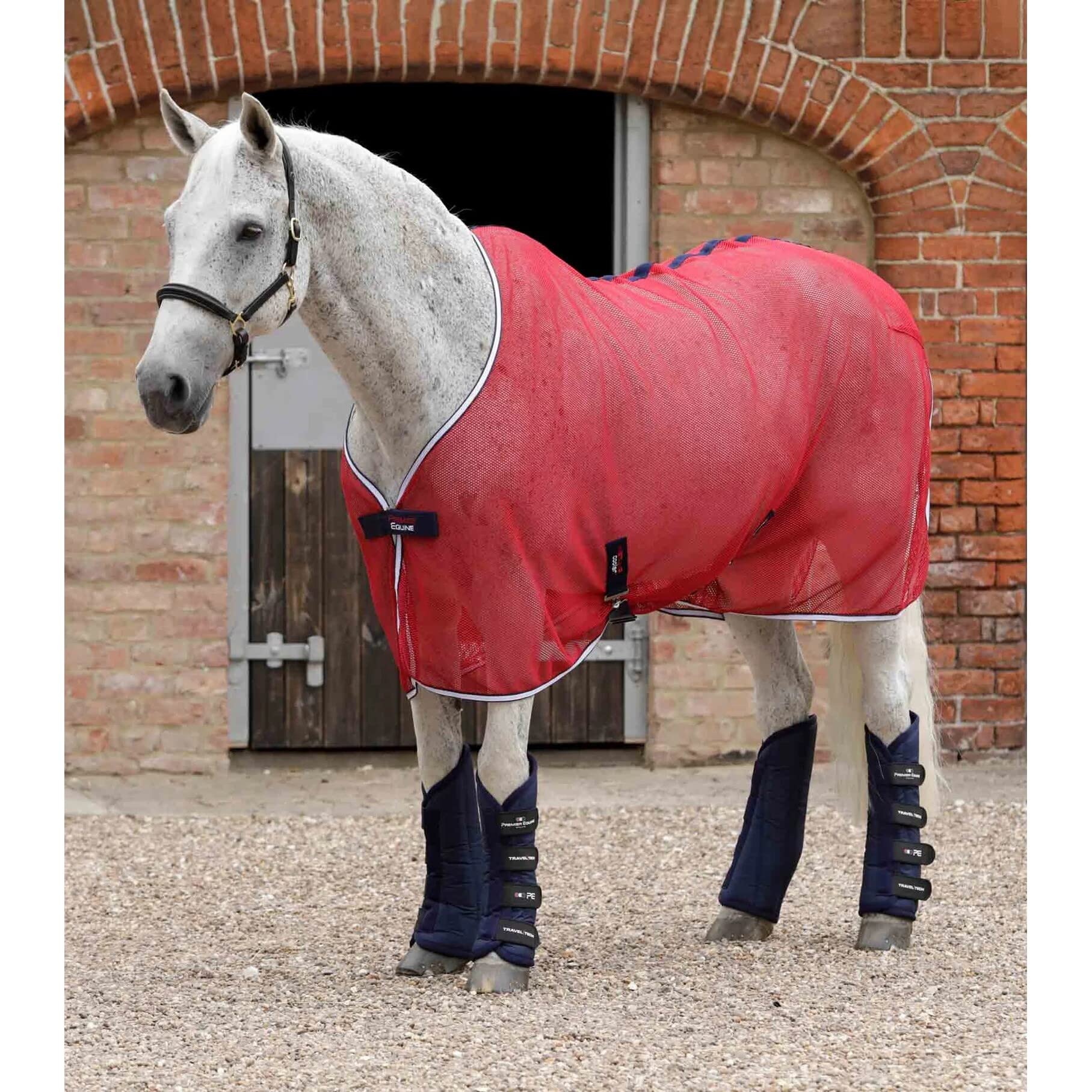 Premier Equine Botas de Transporte para Caballos Travel-Tech