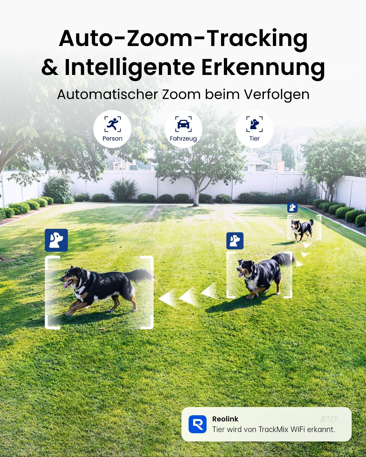 Reolink Home Hub Mini mit TrackMix WiFi Grau, 4K 8MP PTZ Überwachungskamera Aussen WLAN mit Auto-Tracking-Zoom, Dual-Objektiv, Smart-Erkennung, Farbnachtsicht, Außenkamera, Einmaliger lokaler Speicher